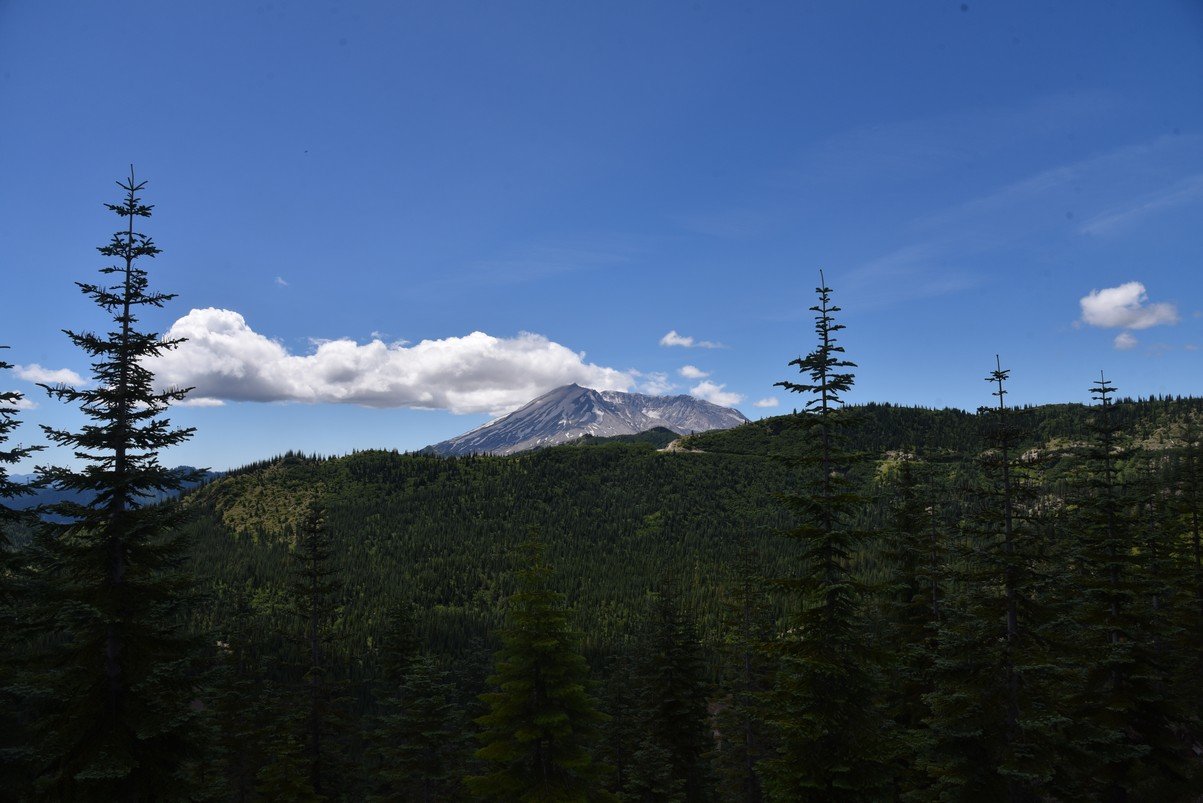 dsc_9803_fs.jpg