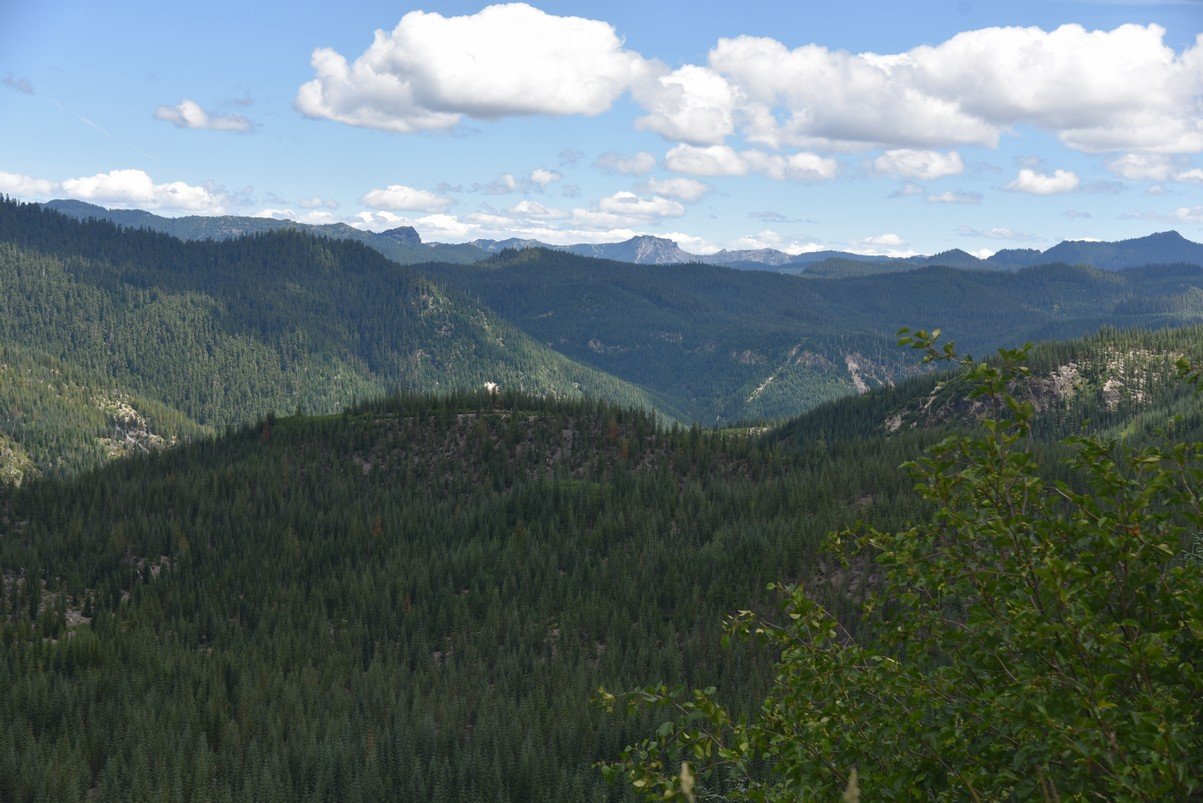 dsc_9812_fs.jpg