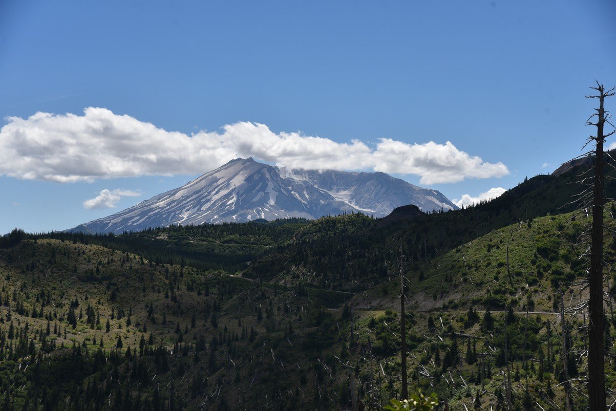 dsc_9828_fs.jpg