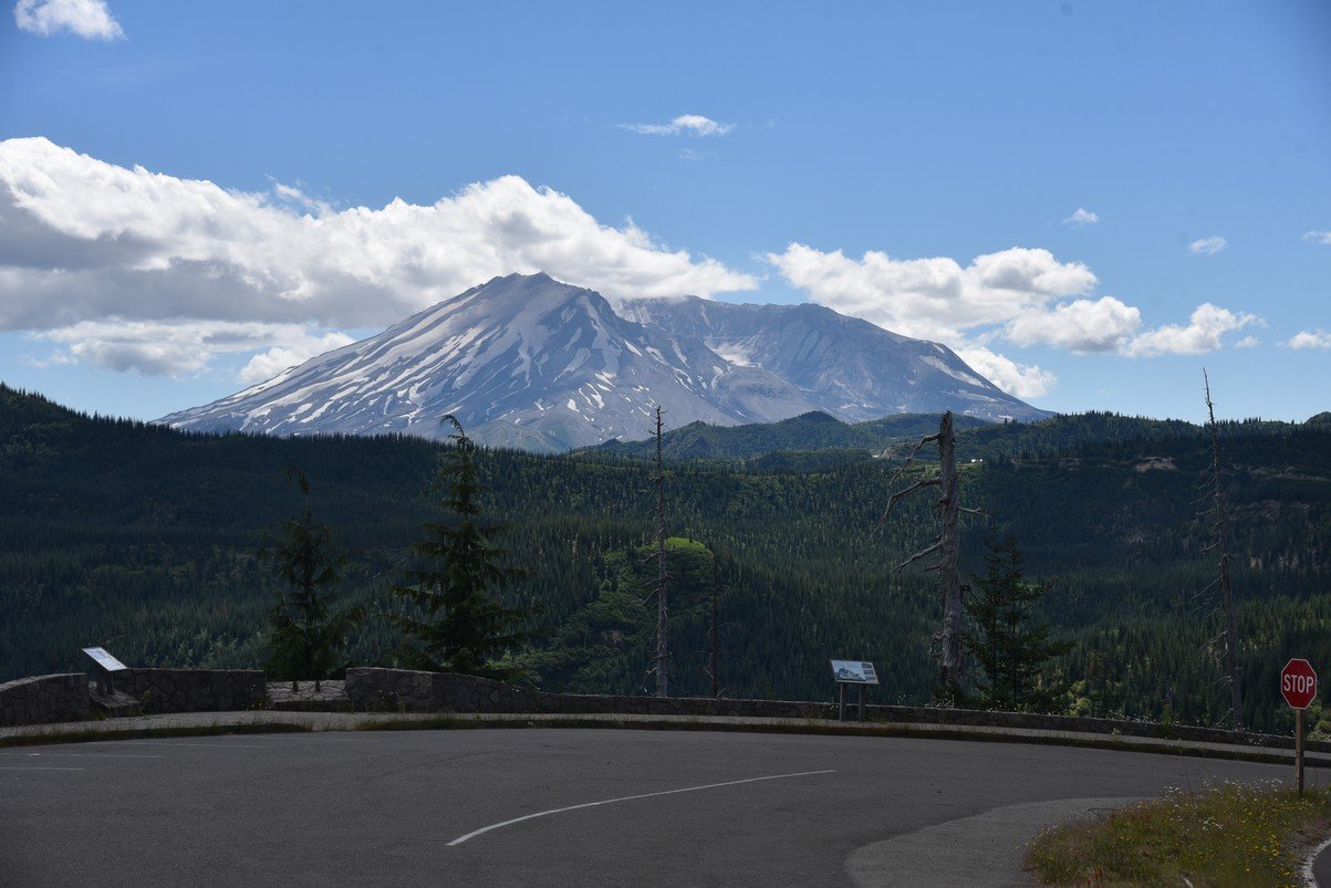 dsc_9831_fs.jpg