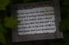 dsc_0001_fs_small.jpg