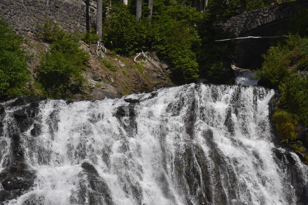 dsc_0014_fs.jpg
