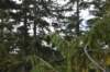 dsc_0016_fs_small.jpg