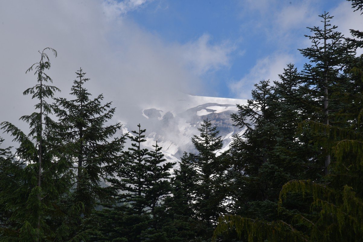 dsc_0017_fs.jpg