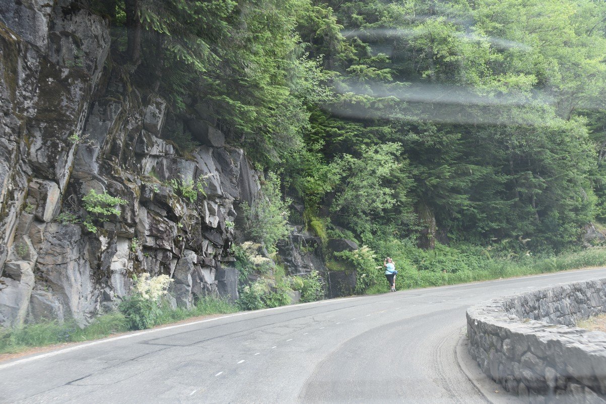 dsc_0041_fs.jpg