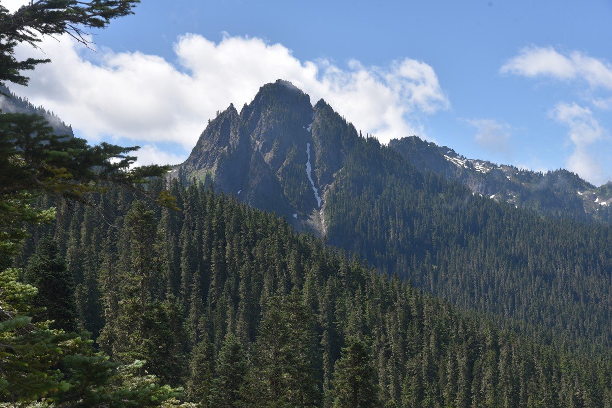 dsc_0068_fs.jpg