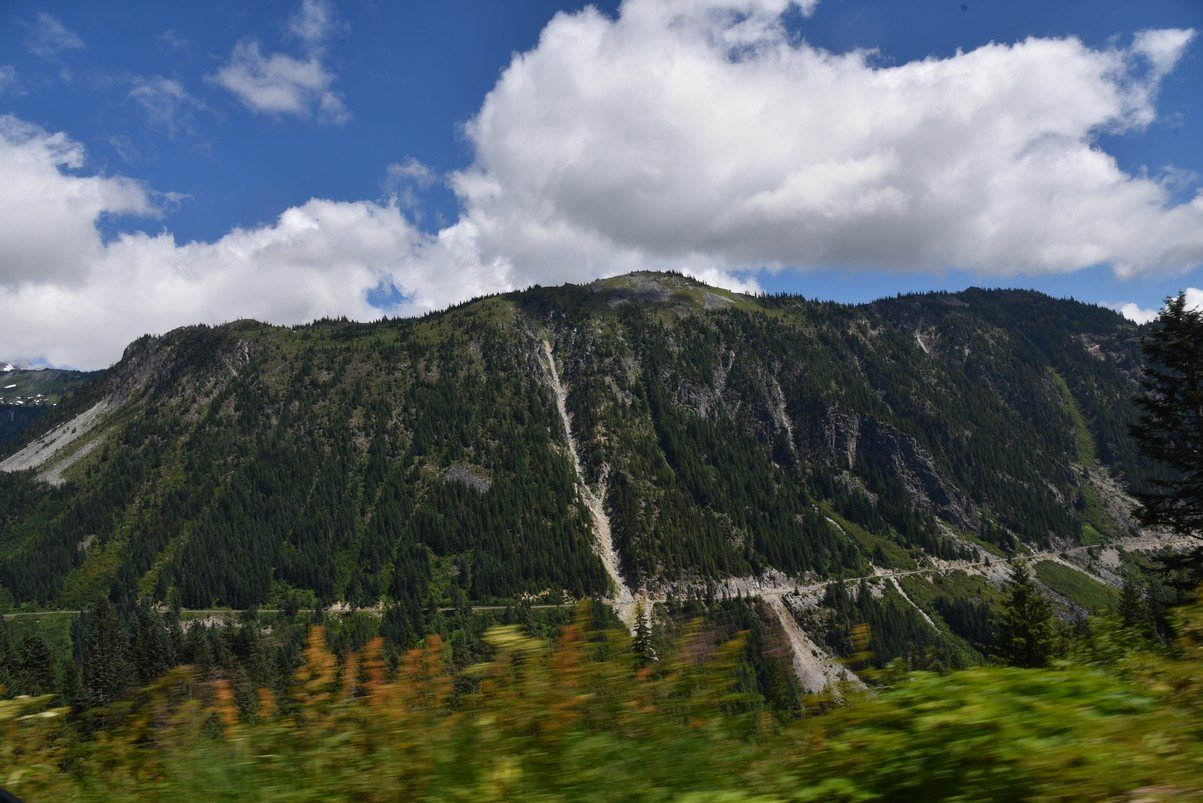 dsc_0080_fs.jpg