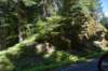dsc_0093_fs_small.jpg