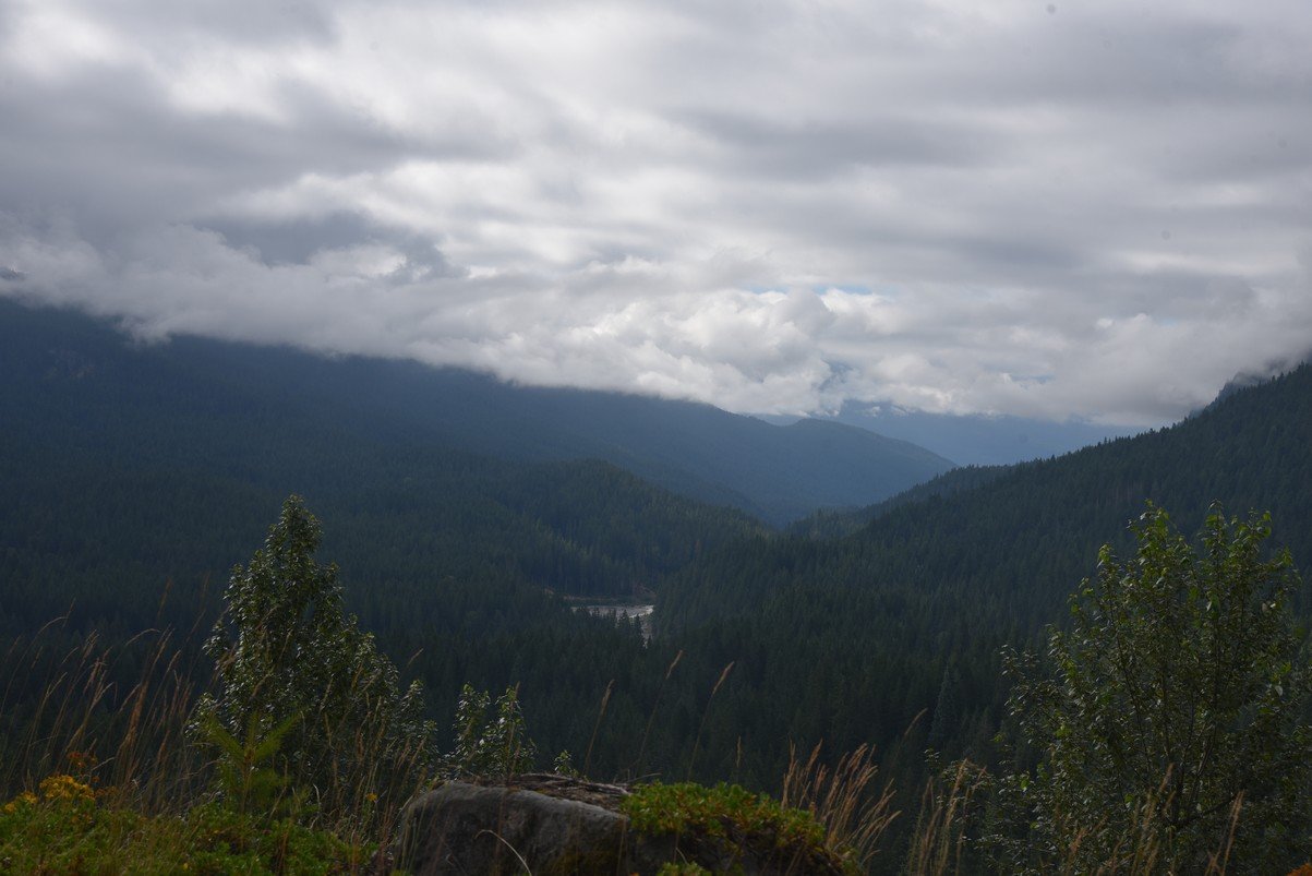 dsc_9886_fs.jpg