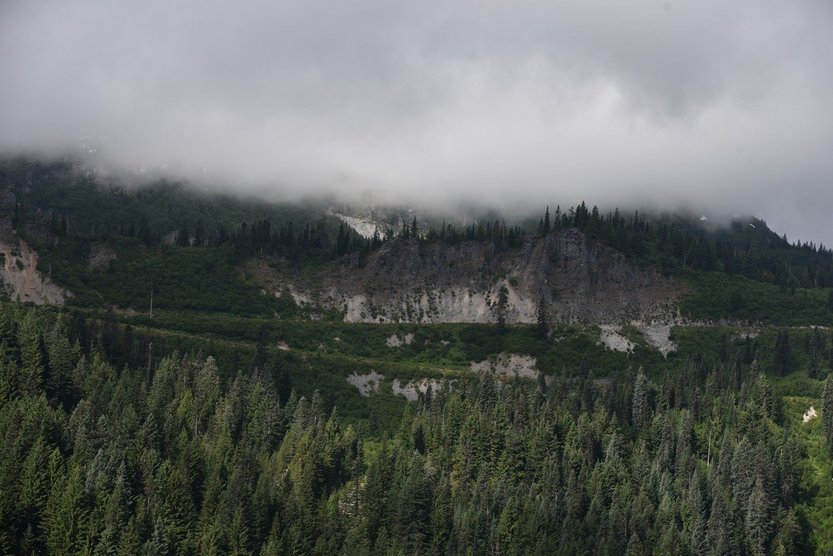 dsc_9897_fs.jpg