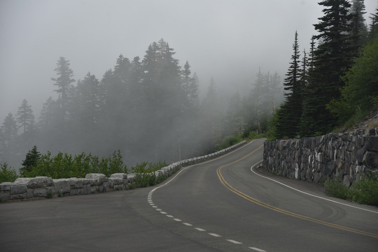 dsc_9950_fs.jpg