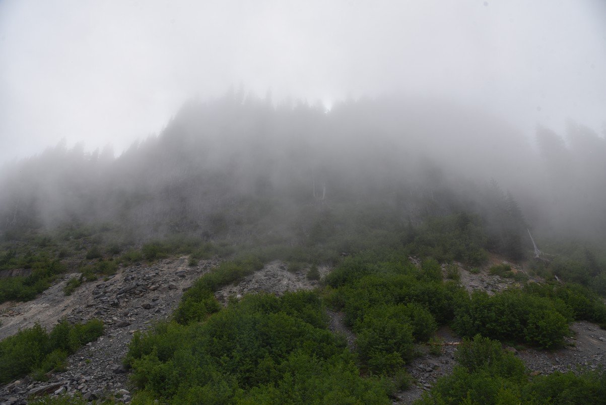 dsc_9959_fs.jpg