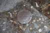 dsc_9960_fs_small.jpg