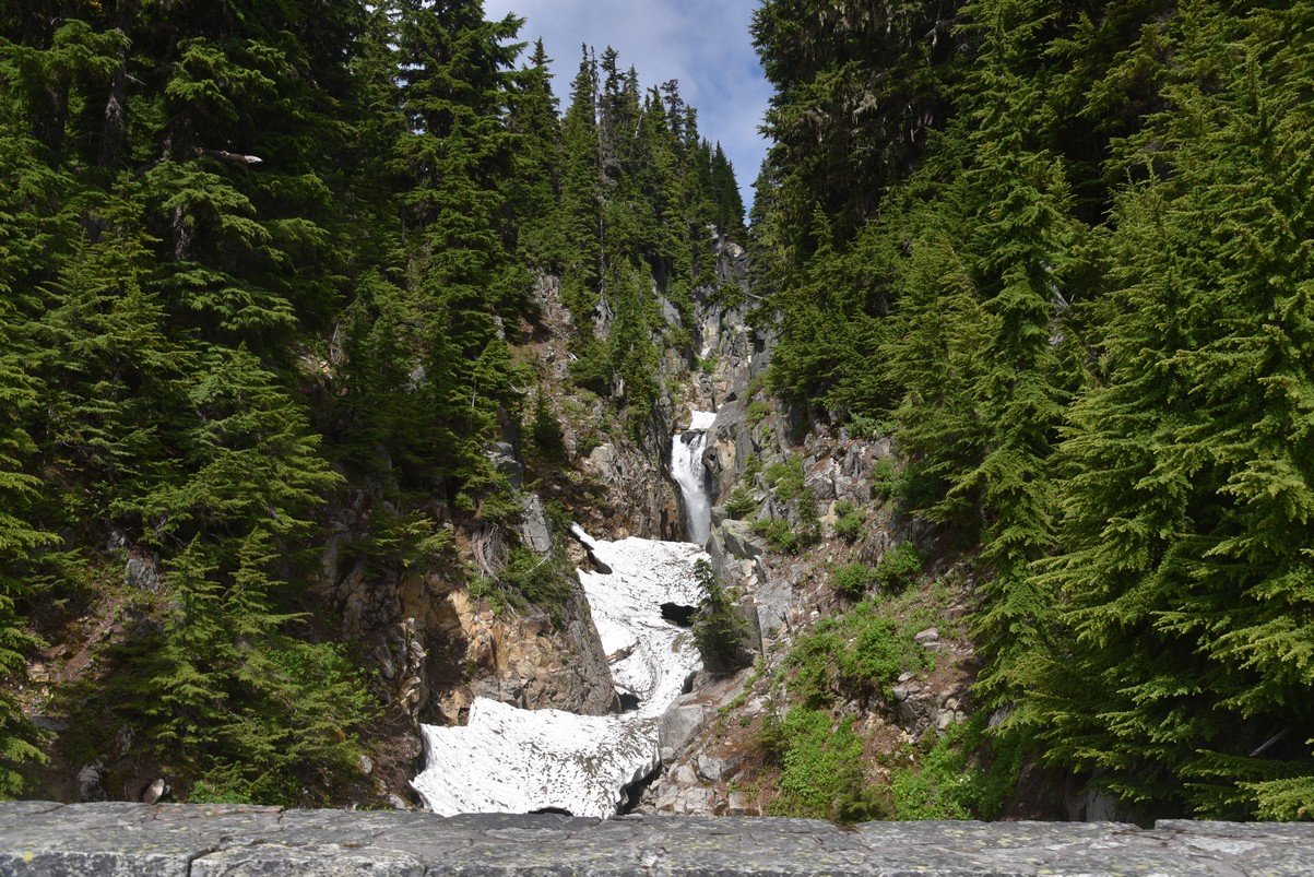 dsc_9978_fs.jpg