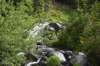 dsc_9980_fs_small.jpg