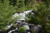 dsc_9981_fs_small.jpg