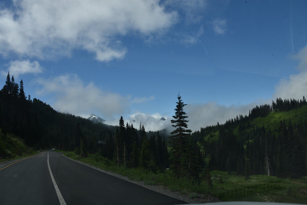 dsc_9982_fs.jpg