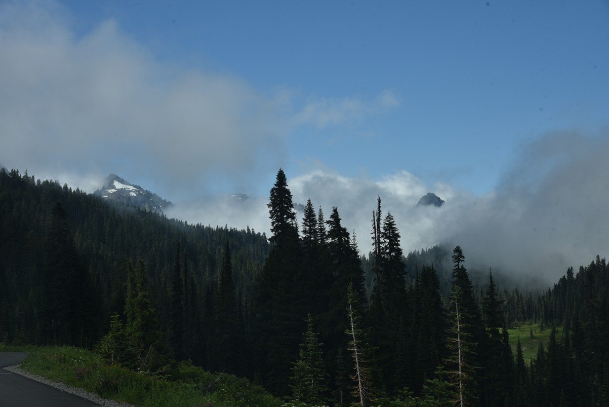 dsc_9983_fs.jpg