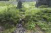 dsc_9984_fs_small.jpg