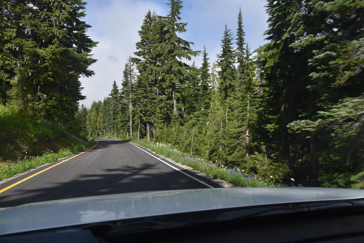 dsc_9989_fs.jpg