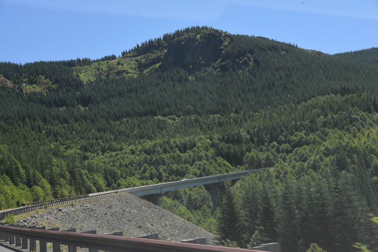 dsc_0176_fs.jpg