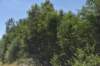 dsc_0203_fs_small.jpg
