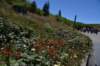 dsc_0215_fs_small.jpg