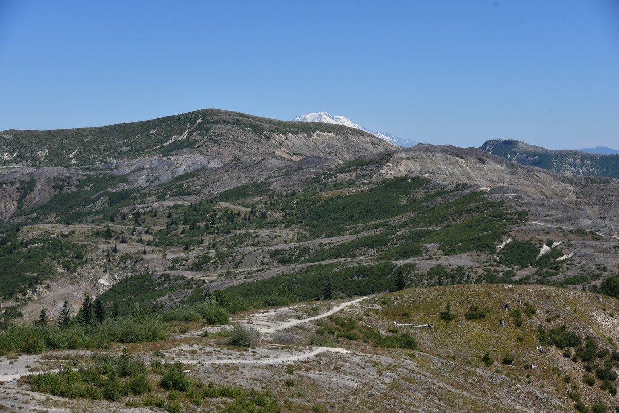 dsc_0254_fs.jpg