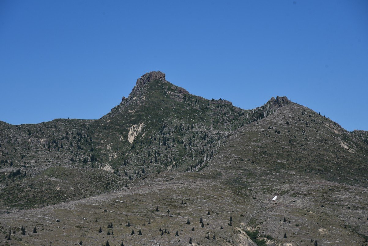 dsc_0286_fs.jpg