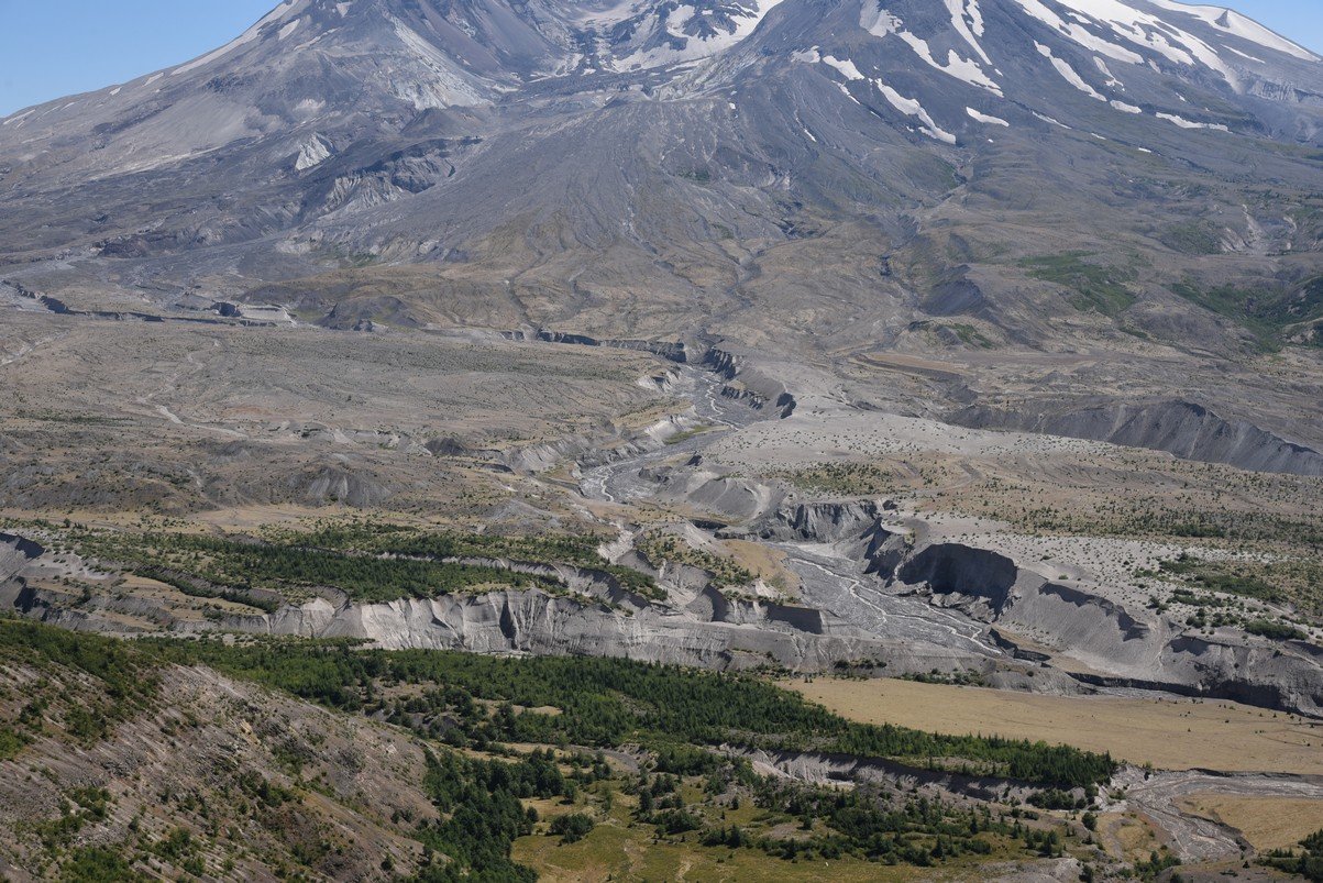 dsc_0290_fs.jpg