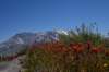 dsc_0306_fs_small.jpg