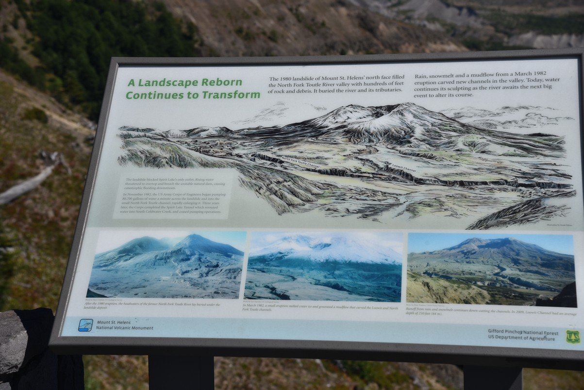 dsc_0309_fs.jpg