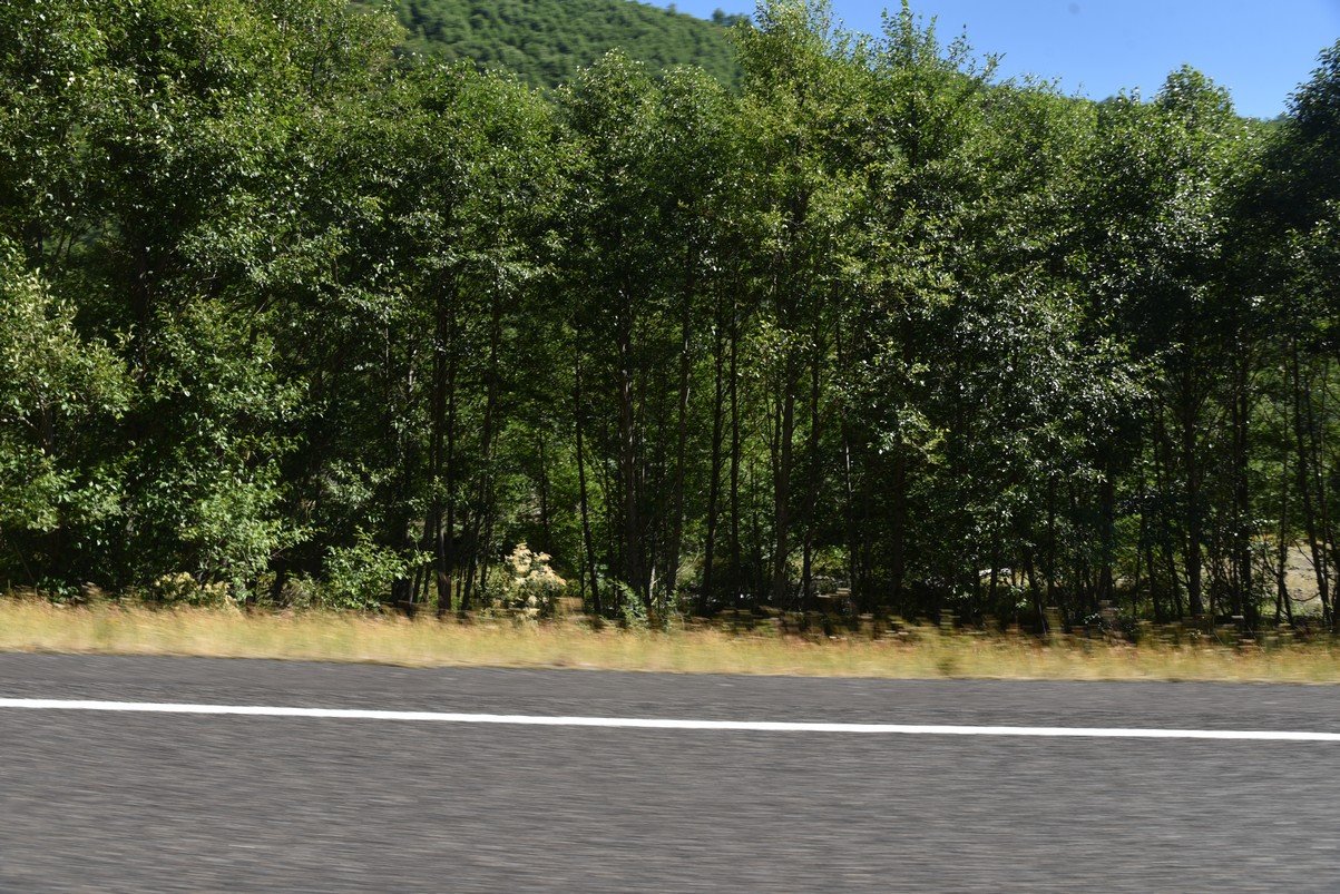 dsc_0328_fs.jpg