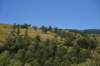 dsc_0332_fs_small.jpg