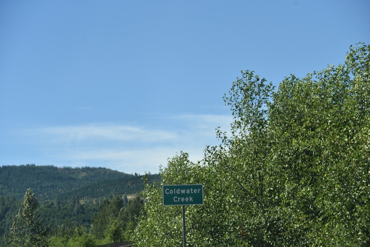 dsc_0333_fs.jpg