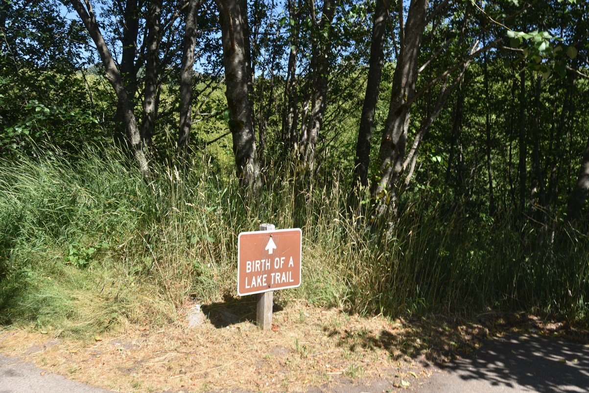 dsc_0338_fs.jpg