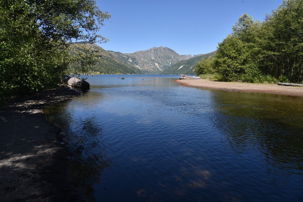 dsc_0339_fs.jpg