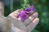 dsc_0345_fs_small.jpg