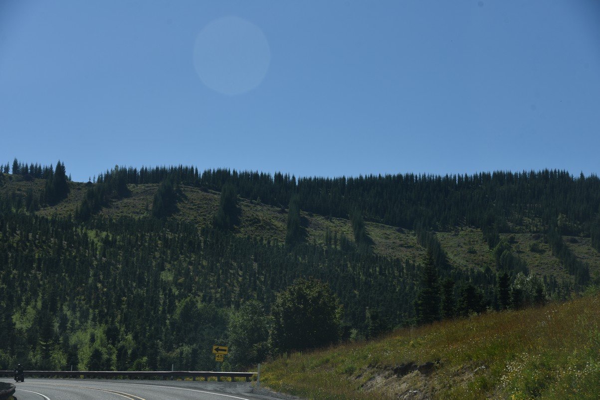 dsc_0348_fs.jpg