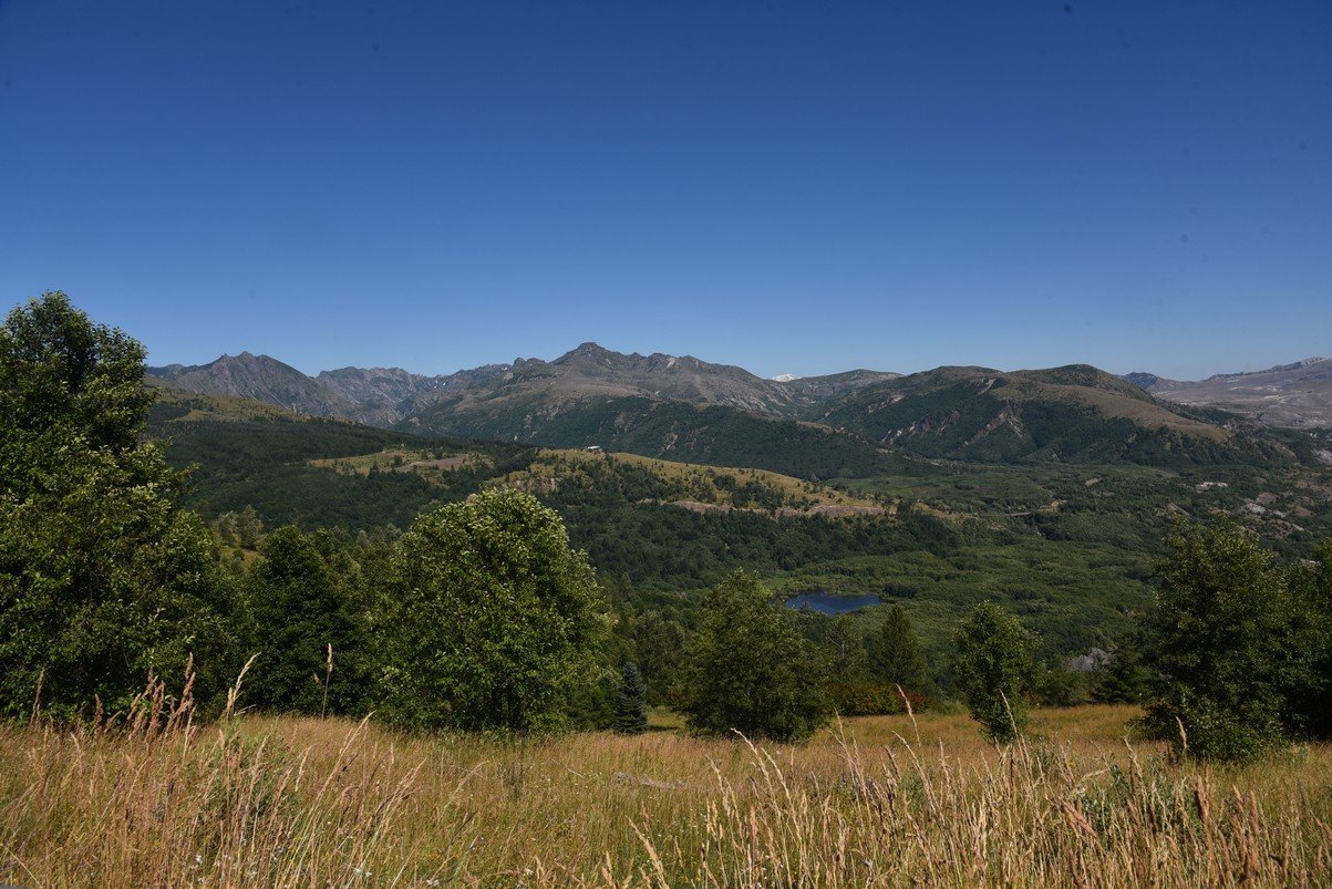 dsc_0354_fs.jpg