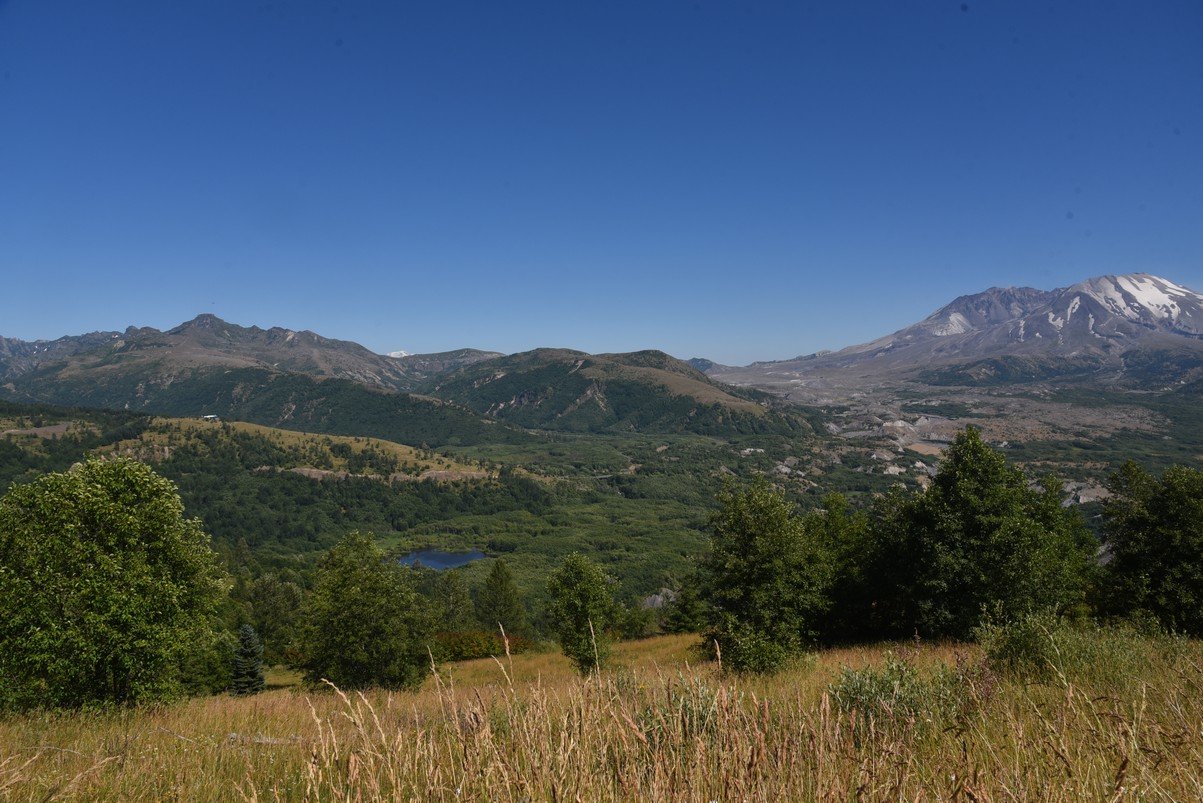 dsc_0355_fs.jpg