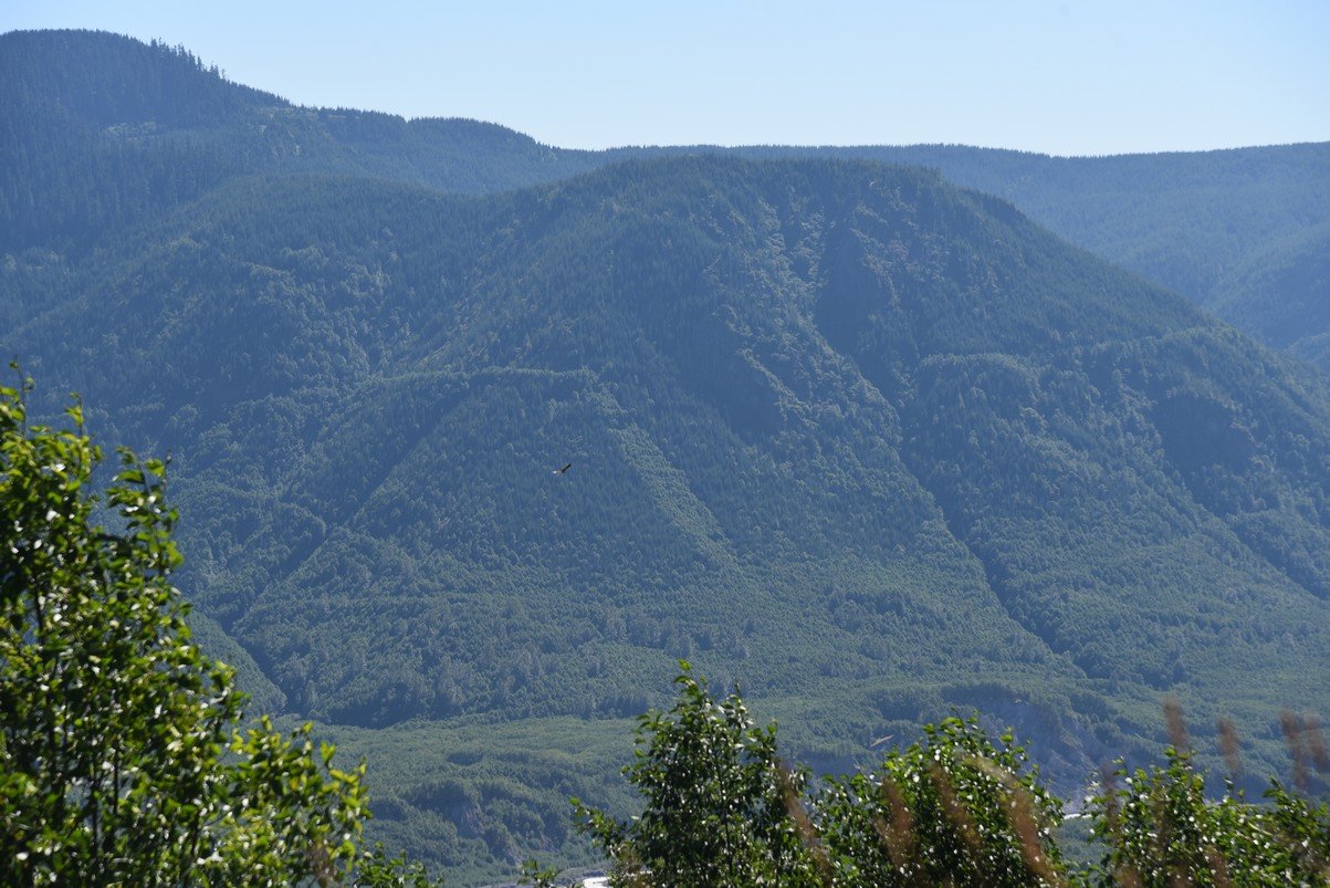 dsc_0365_fs.jpg