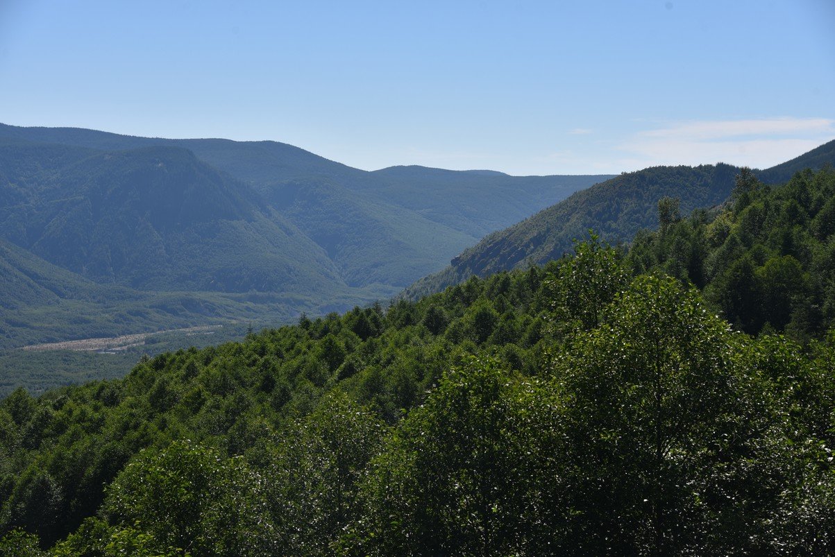 dsc_0370_fs.jpg