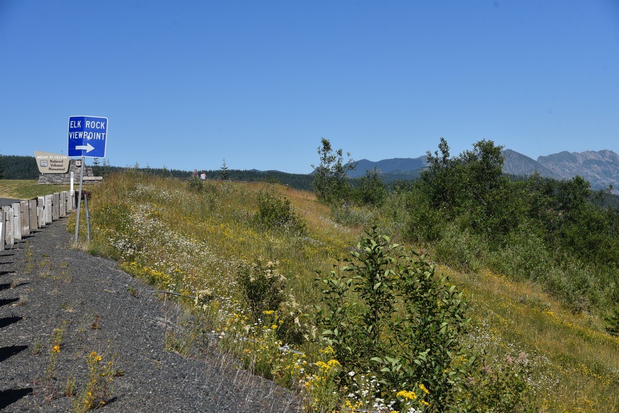 dsc_0381_fs.jpg
