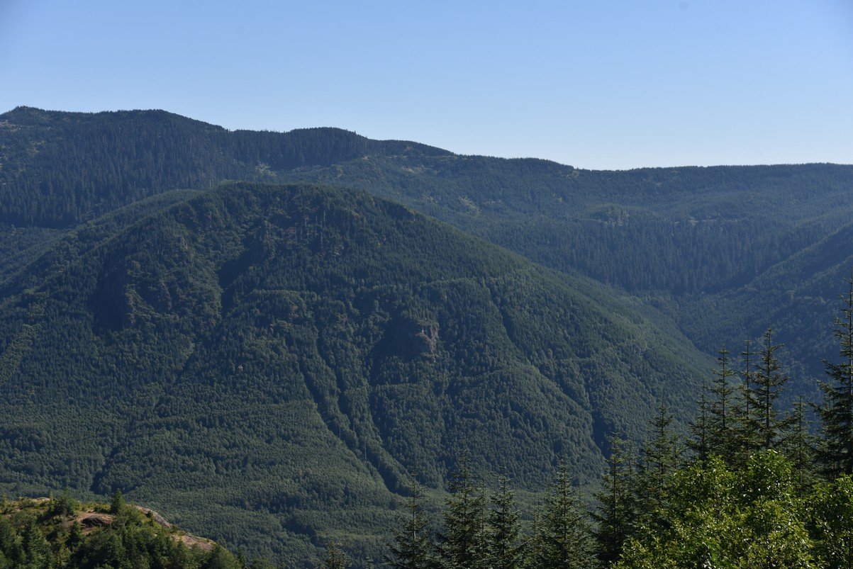 dsc_0389_fs.jpg