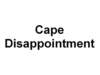 capedisappointment_small.jpg