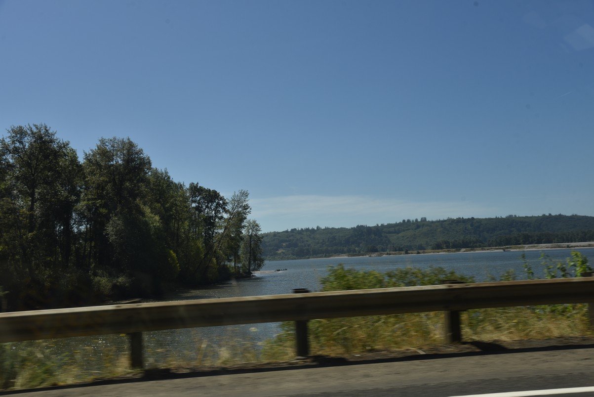 dsc_0462_fs.jpg