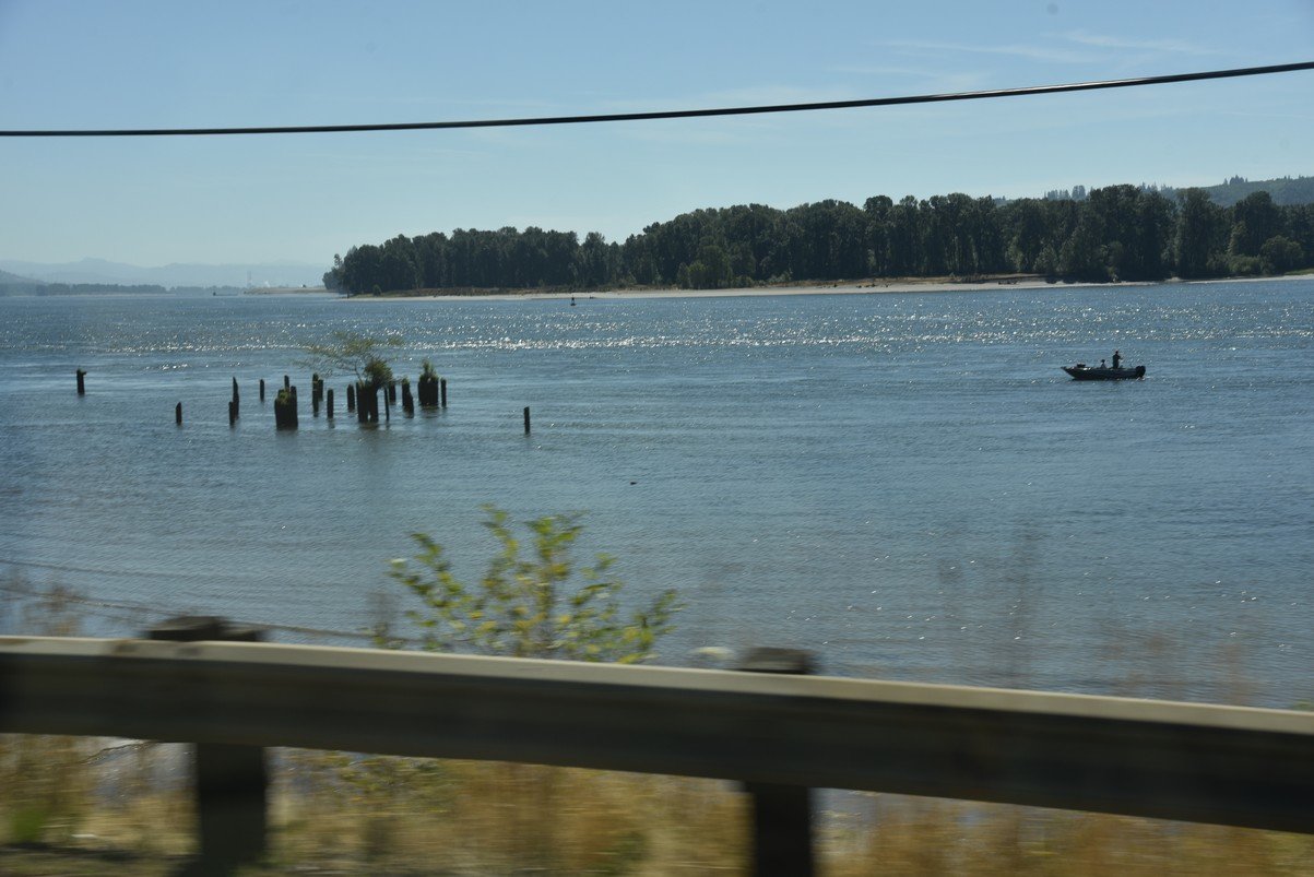 dsc_0469_fs.jpg