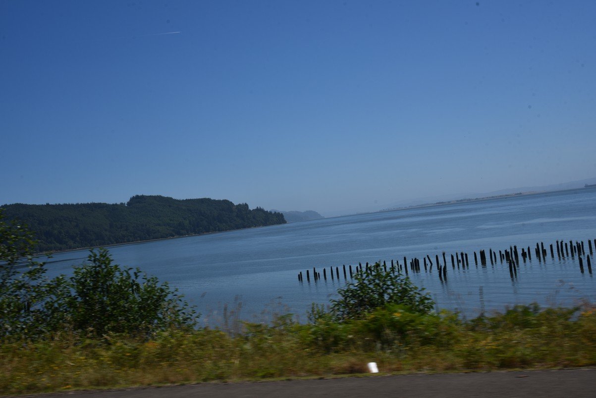 dsc_0514_fs.jpg