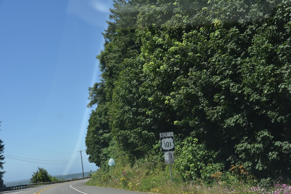 dsc_0570_fs.jpg